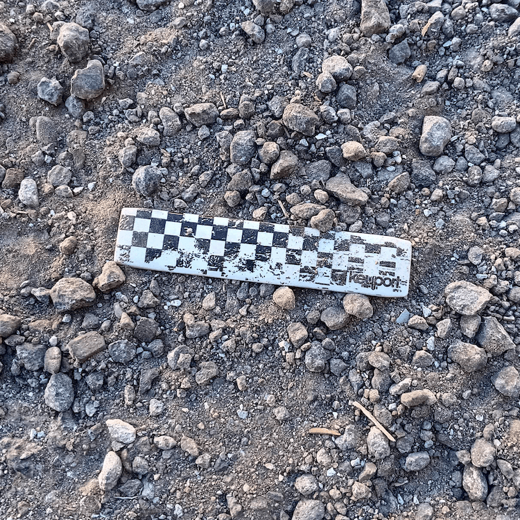 Keyport key organizer and keychain multi-tool compatible Checkered Racing Flag Faceplate Scale with ground background