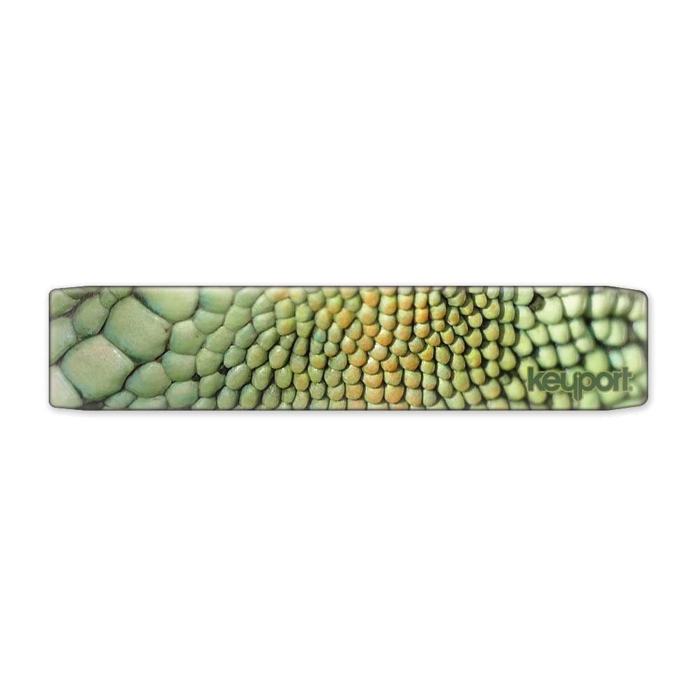 Keyport Faceplate with a vibrant Chinese water dragon design