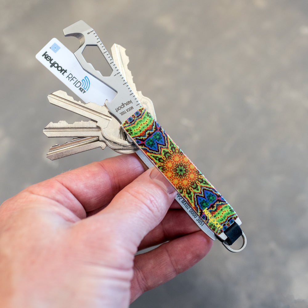 Keyport Faceplate with evening mist 2 artwork by lonnie sears pivot