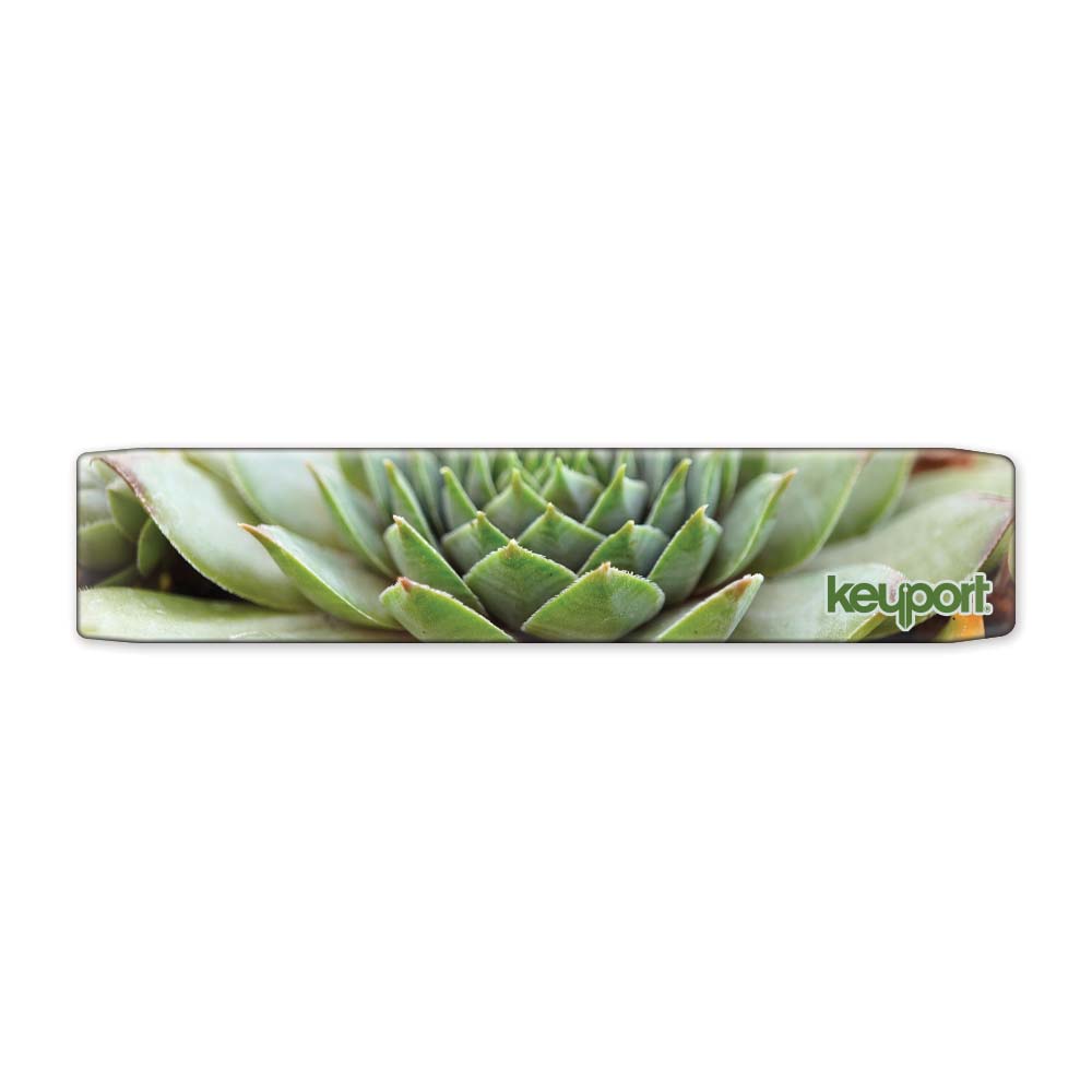 Red tipped houseleek Keyport Faceplate with succulent design