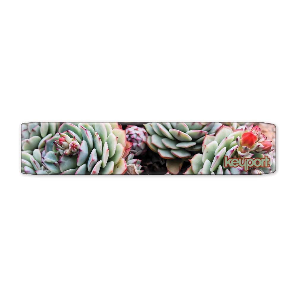 Keyport Faceplate with a Cat’s Claw Echevaria design